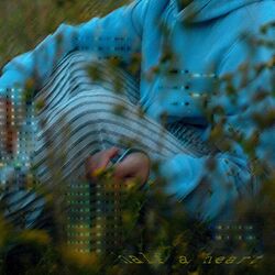 Cover of half a heart