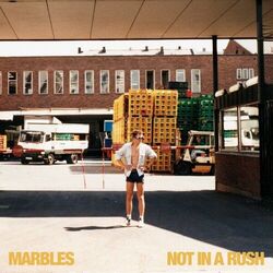 Cover of Not in a Rush