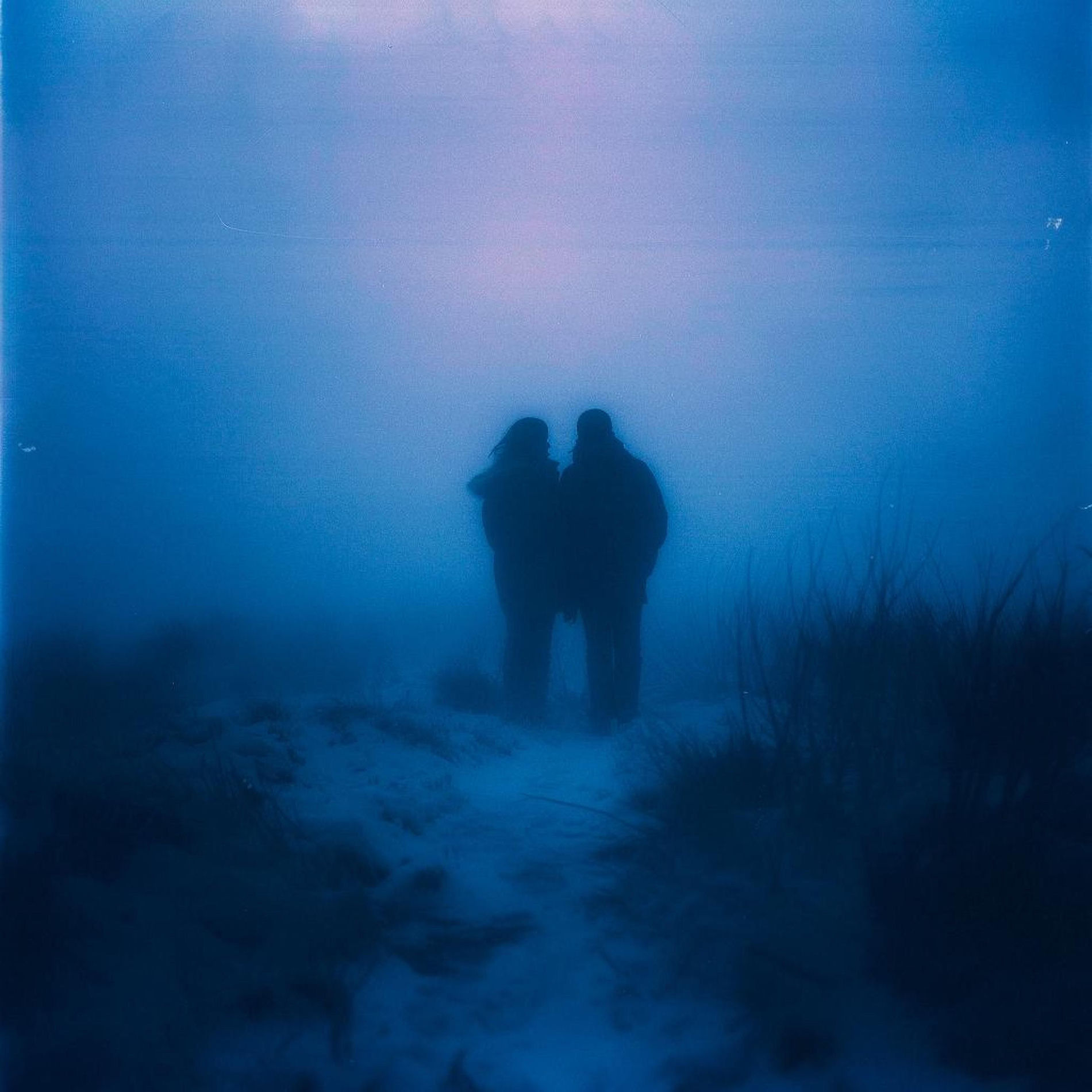 Album cover of letting go