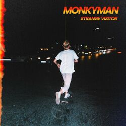 Cover of Strange Visitor