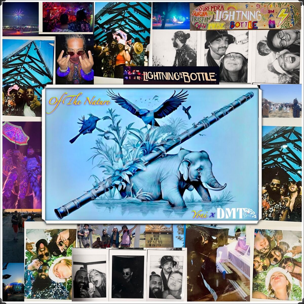 Album cover of Of The Nature