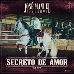 Cover of Secreto De Amor (En Vivo)