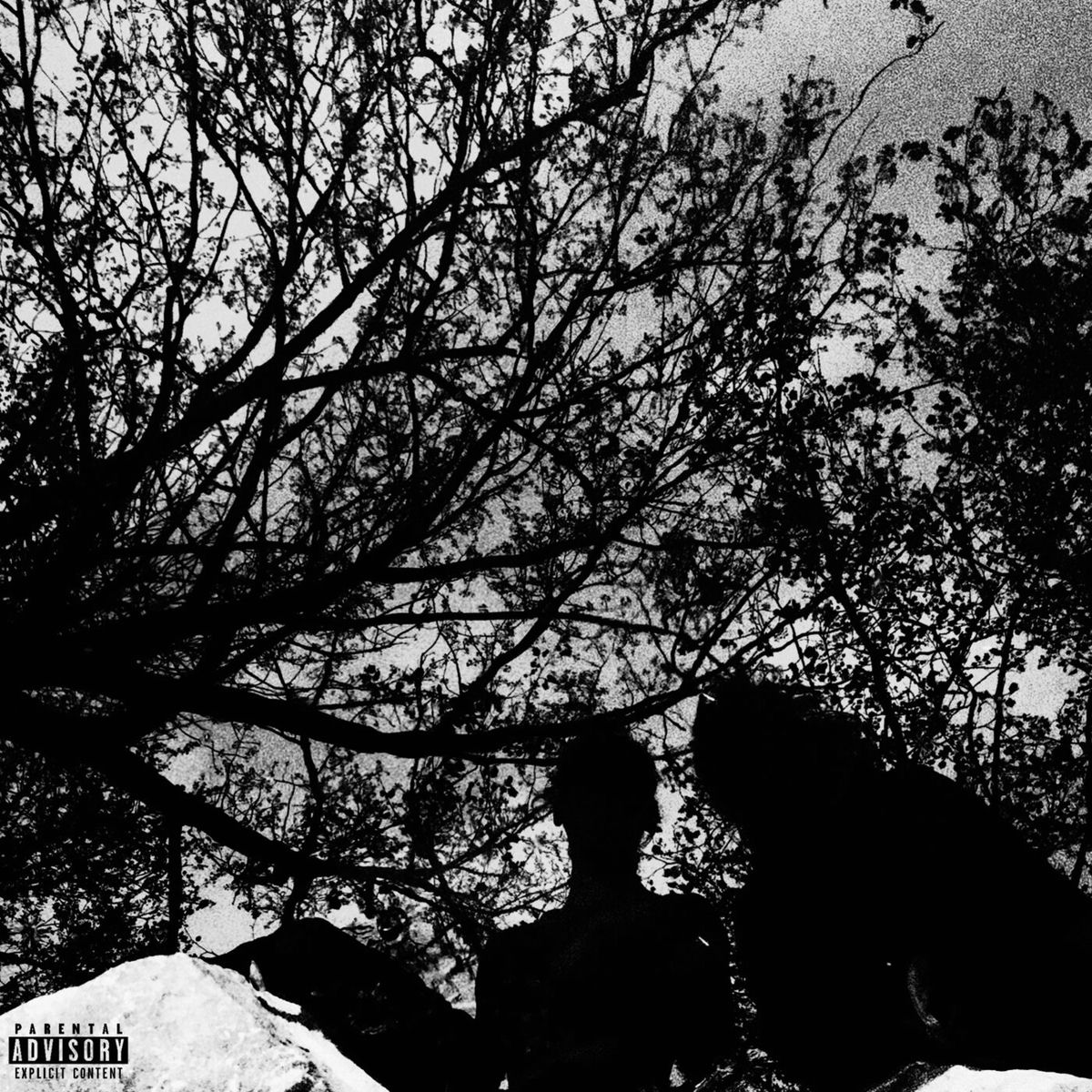 Album cover of Exsanguination