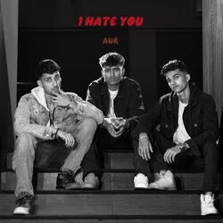 Cover of I Hate You