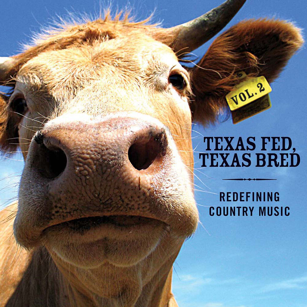 Album cover of Texas Fed, Texas Bred: Redefining Country Music, Vol. 2