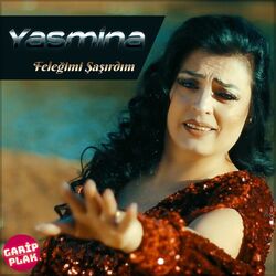 Cover of Feleğimi Şaşırdım