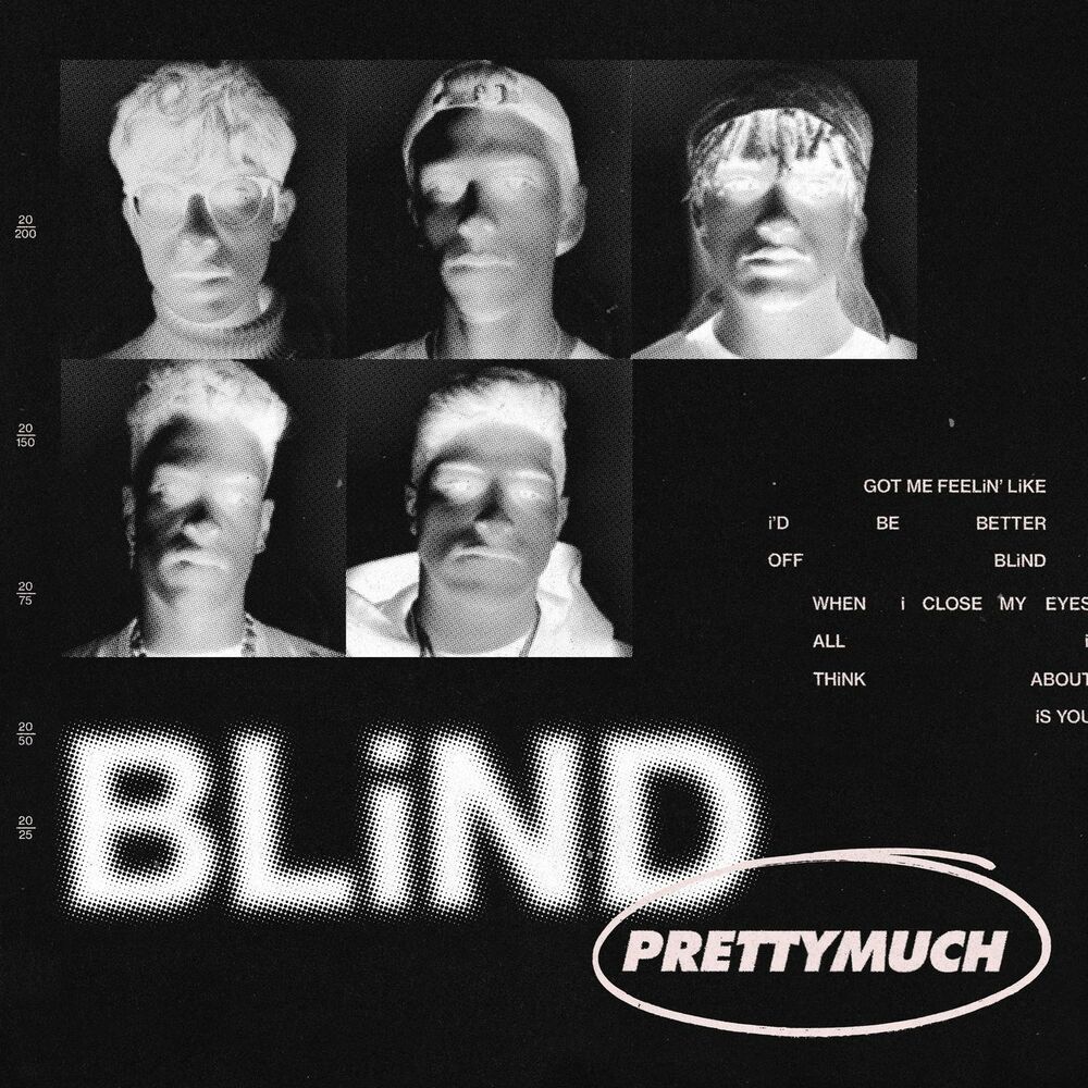 Picture of Blind