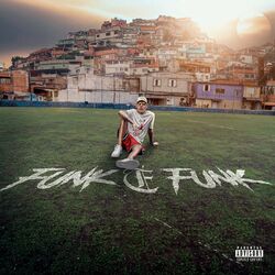 Cover of Funk é Funk