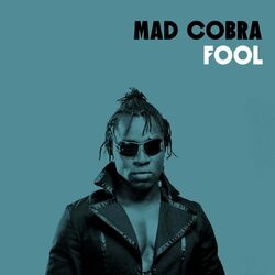Cover of Fool
