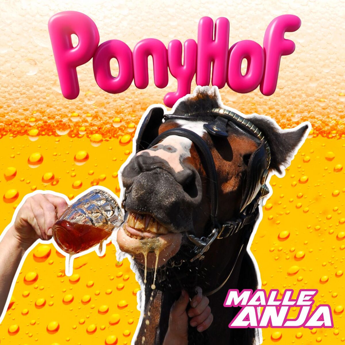 Album cover of PONYHOF