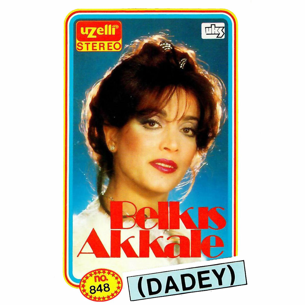 Album cover of Dağlar Seni Delik Delik Delerim