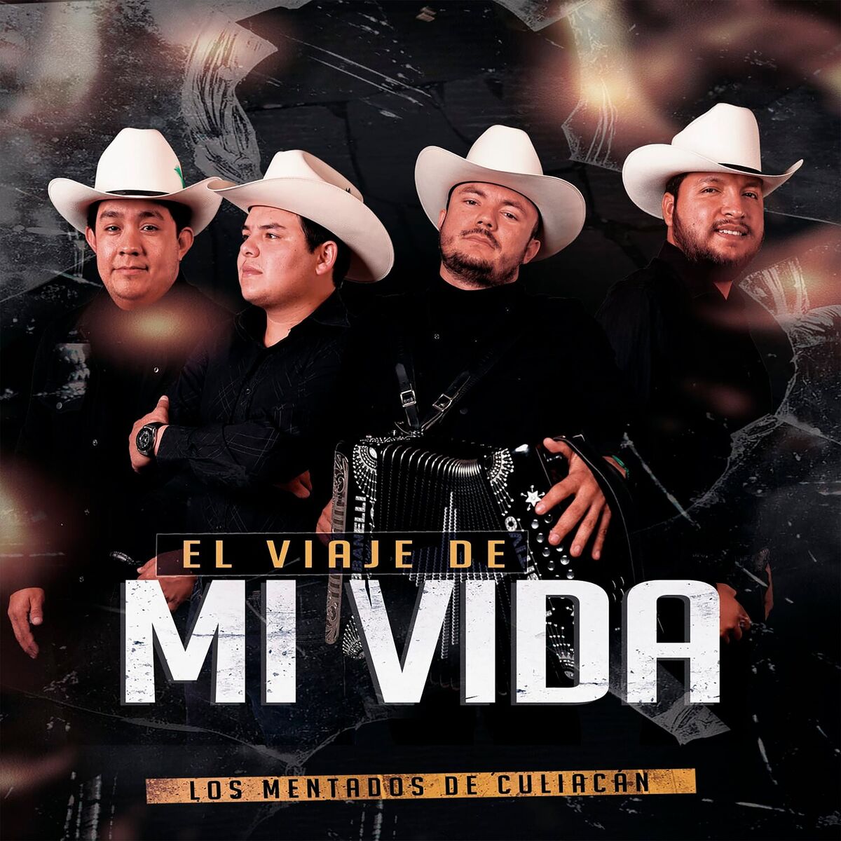 Album cover of El Viaje De Mi Vida
