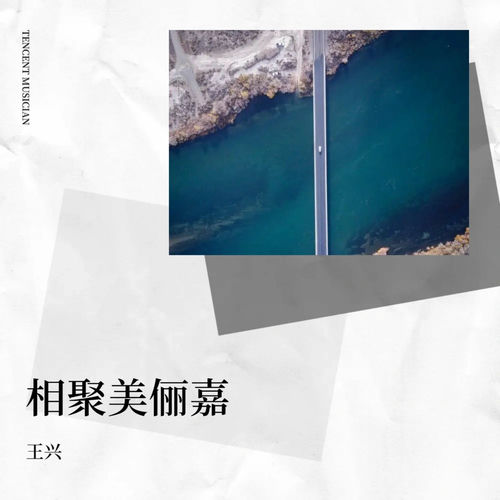 相聚美俪嘉