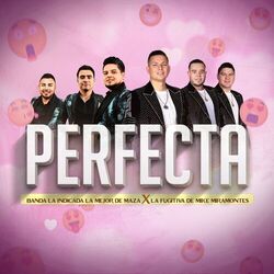 Cover of Perfecta