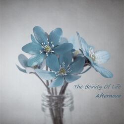 Cover of The Beauty Of Life