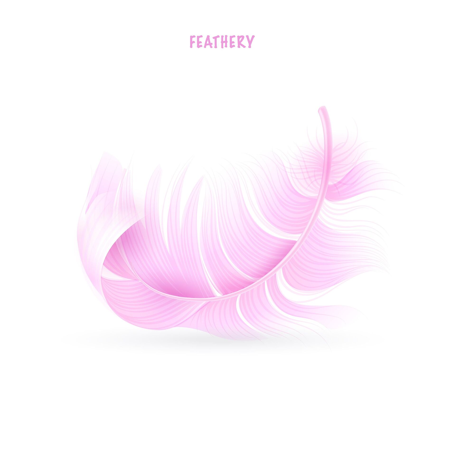 Album cover of feathery