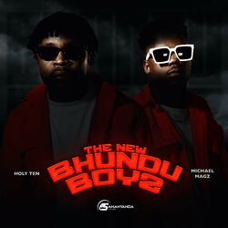 Cover of The New Bhundu Boyz