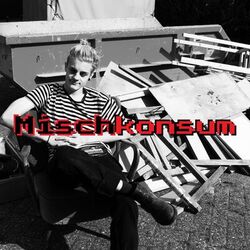 Cover of Mischkonsum