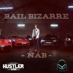 Cover of Bail bizarre