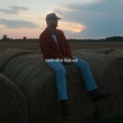 Cover of more often than not