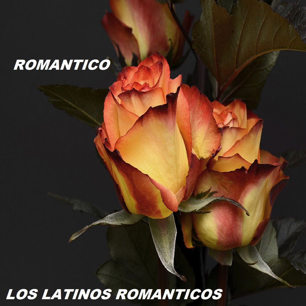 Picture of Romantico
