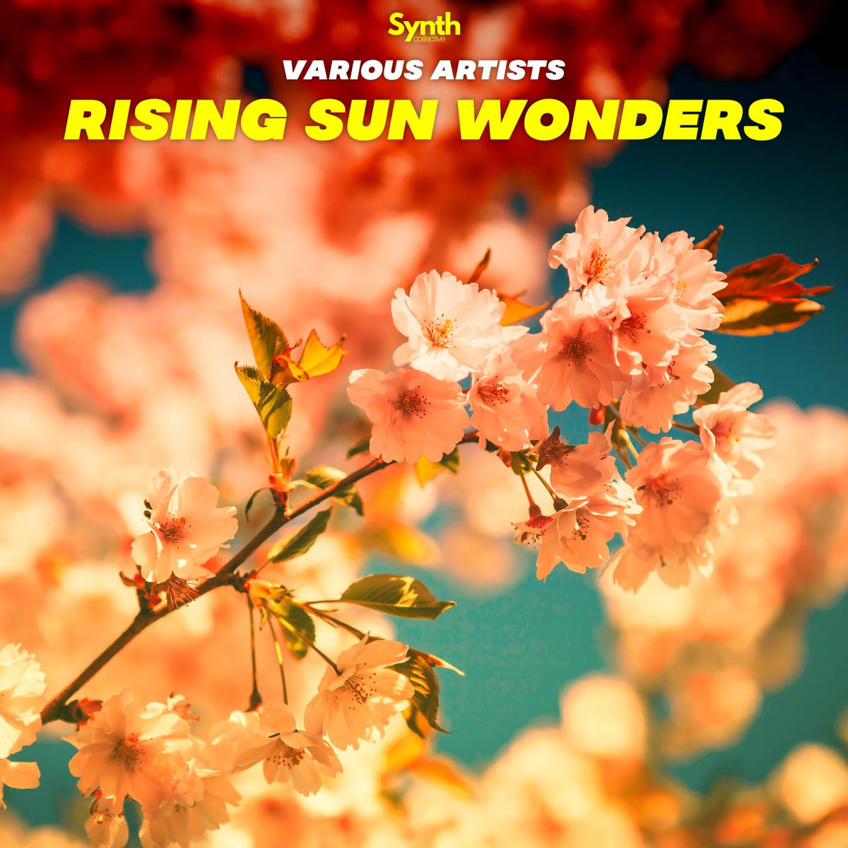 Album cover of Rising Sun Wonders