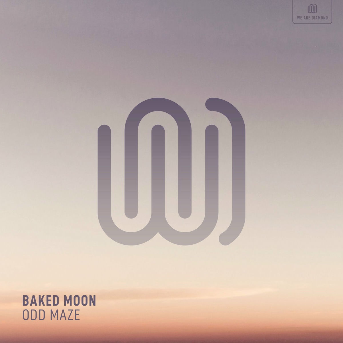 Album cover of Odd Maze