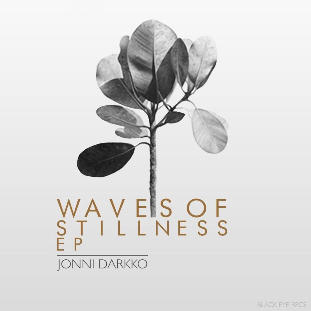 Picture of Waves of Stillness EP