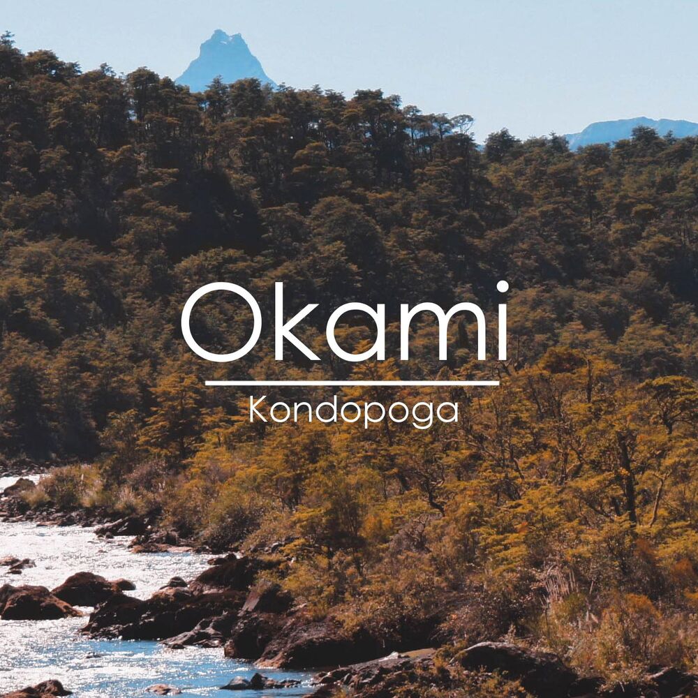 Picture of Kondopoga