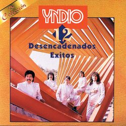Cover of 12 Desencadenados Exitos
