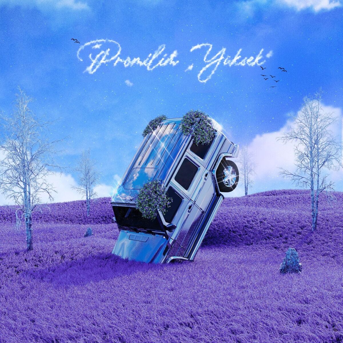 Album cover of Promilim Yüksek