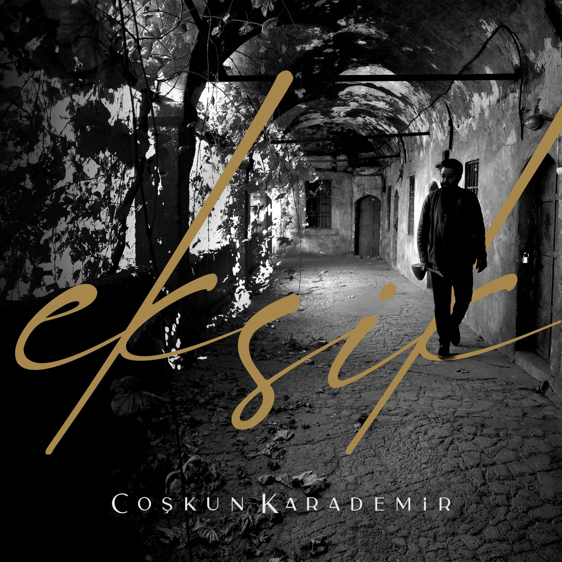 Album cover of Eksik