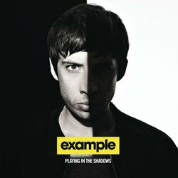 Cover of Playing In The Shadows
