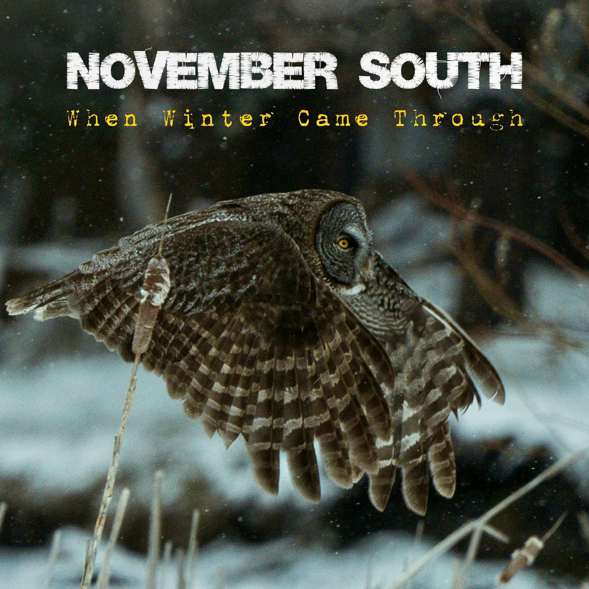 Album cover of When Winter Came Through