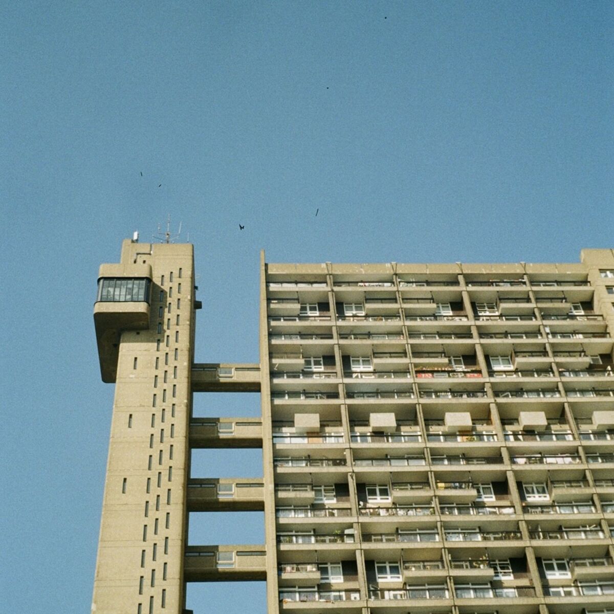 Album cover of Blue Skies