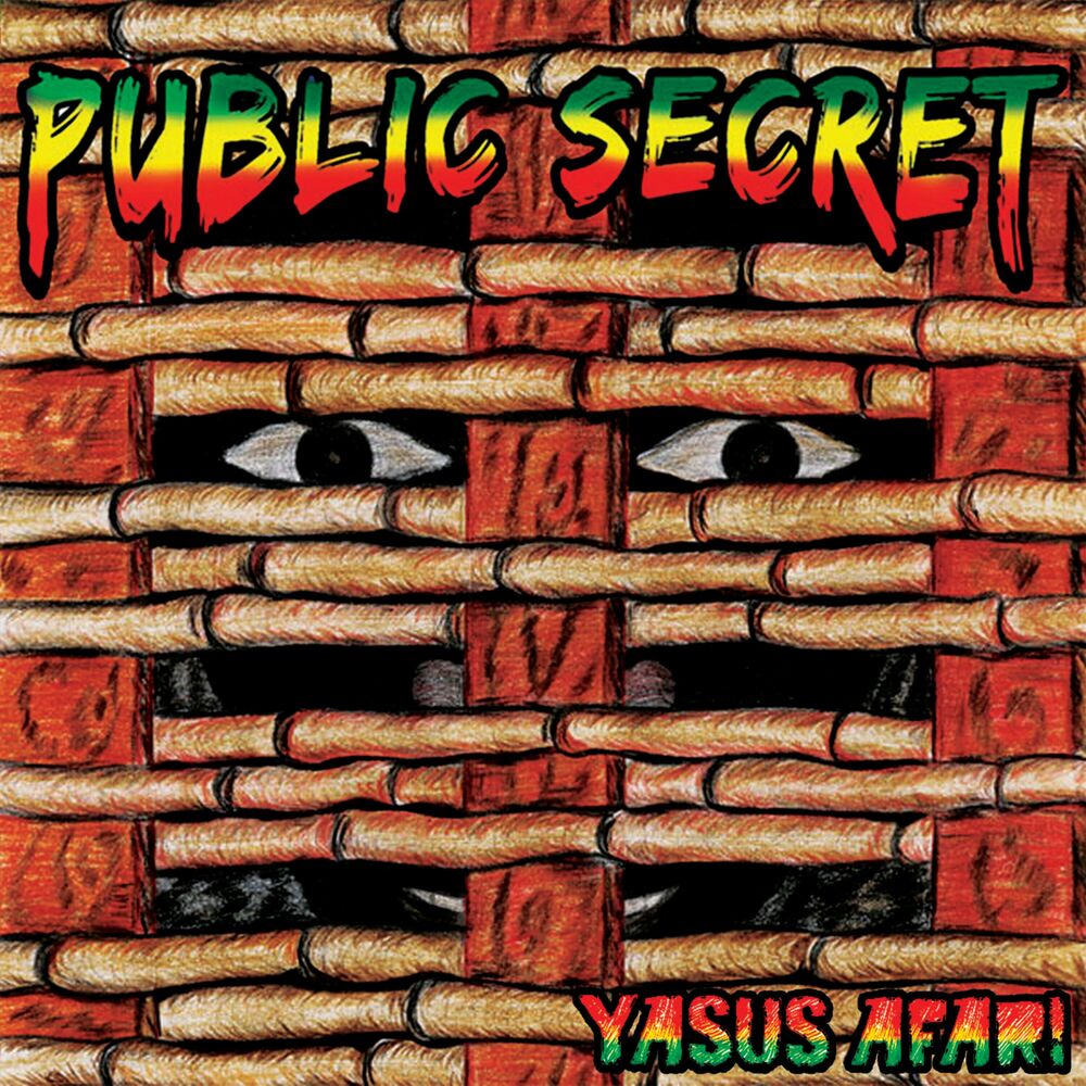 Picture of Public Secret