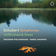Symphony in C Major, D. 944 "The Great": II. Andante con moto