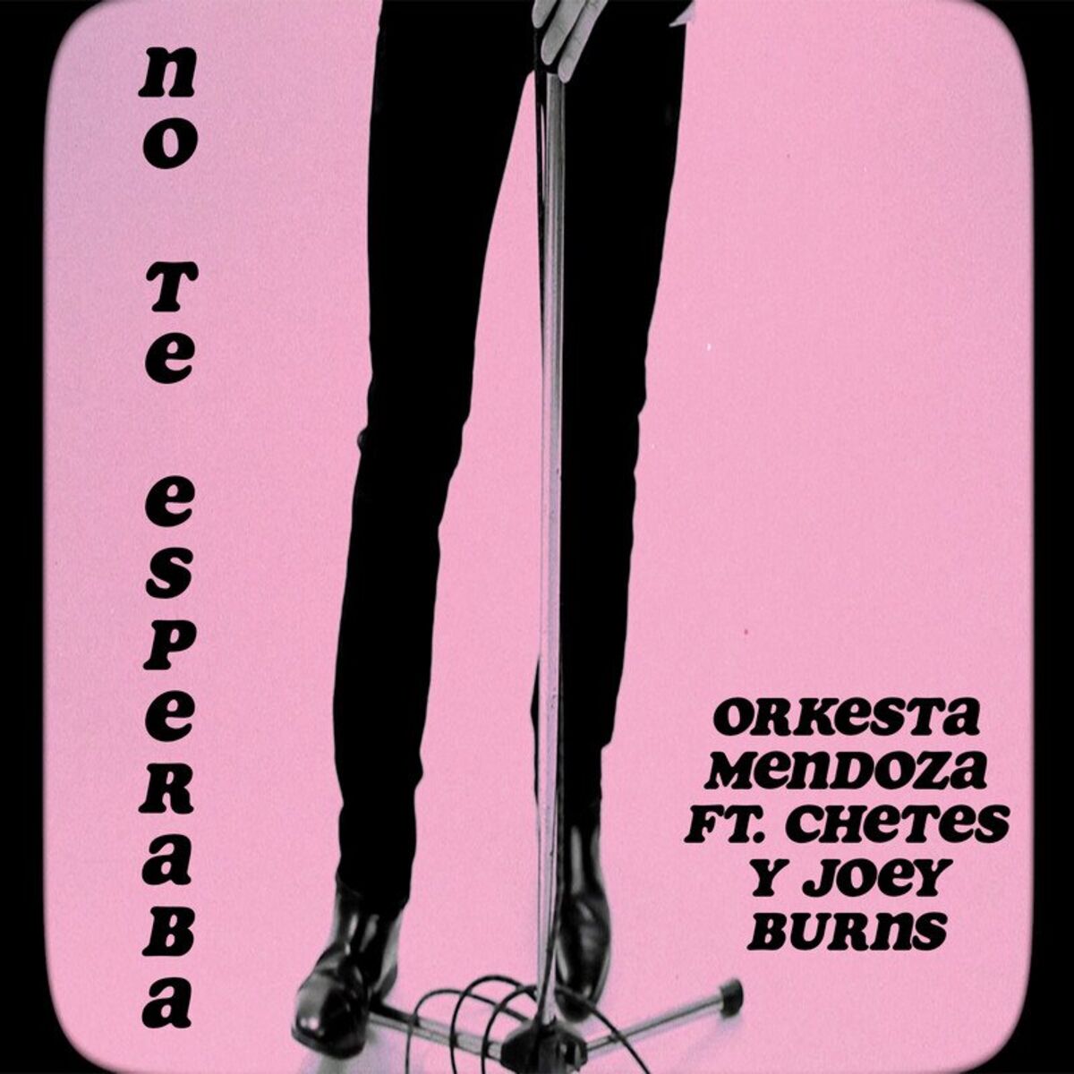 Album cover of No Te Esperaba