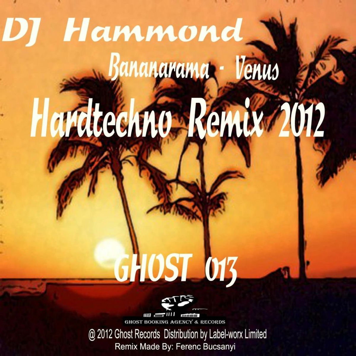 Album picture of Venus (DJ Hammond Hardtechno Remix 2012)