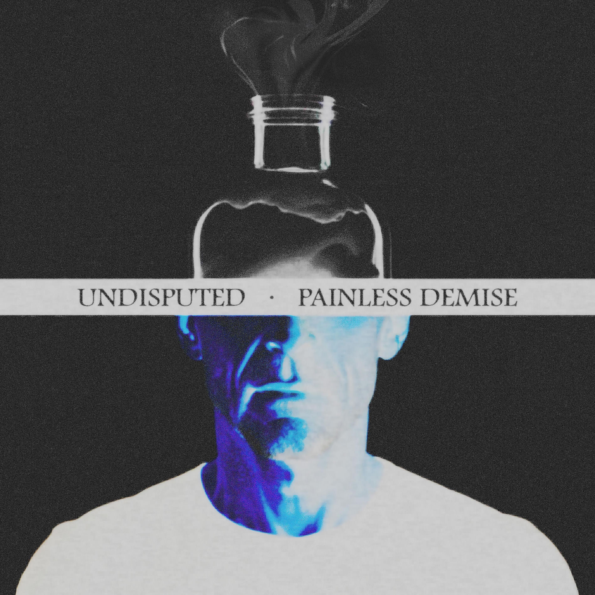 Album cover of Painless Demise