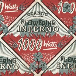 Cover of 1000 Watts
