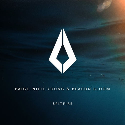 Spitfire (Extended Mix)