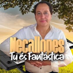 Cover of Tu És Fantástica