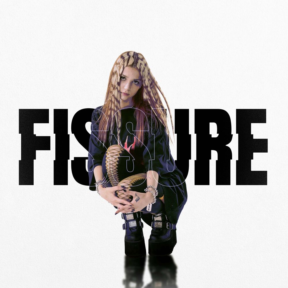 Picture of FISSURE