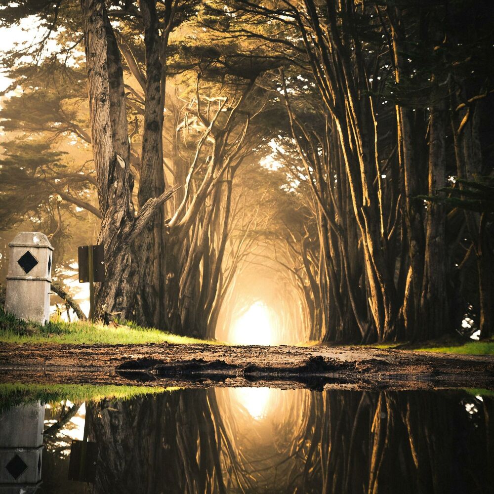 Picture of Dream to Exist