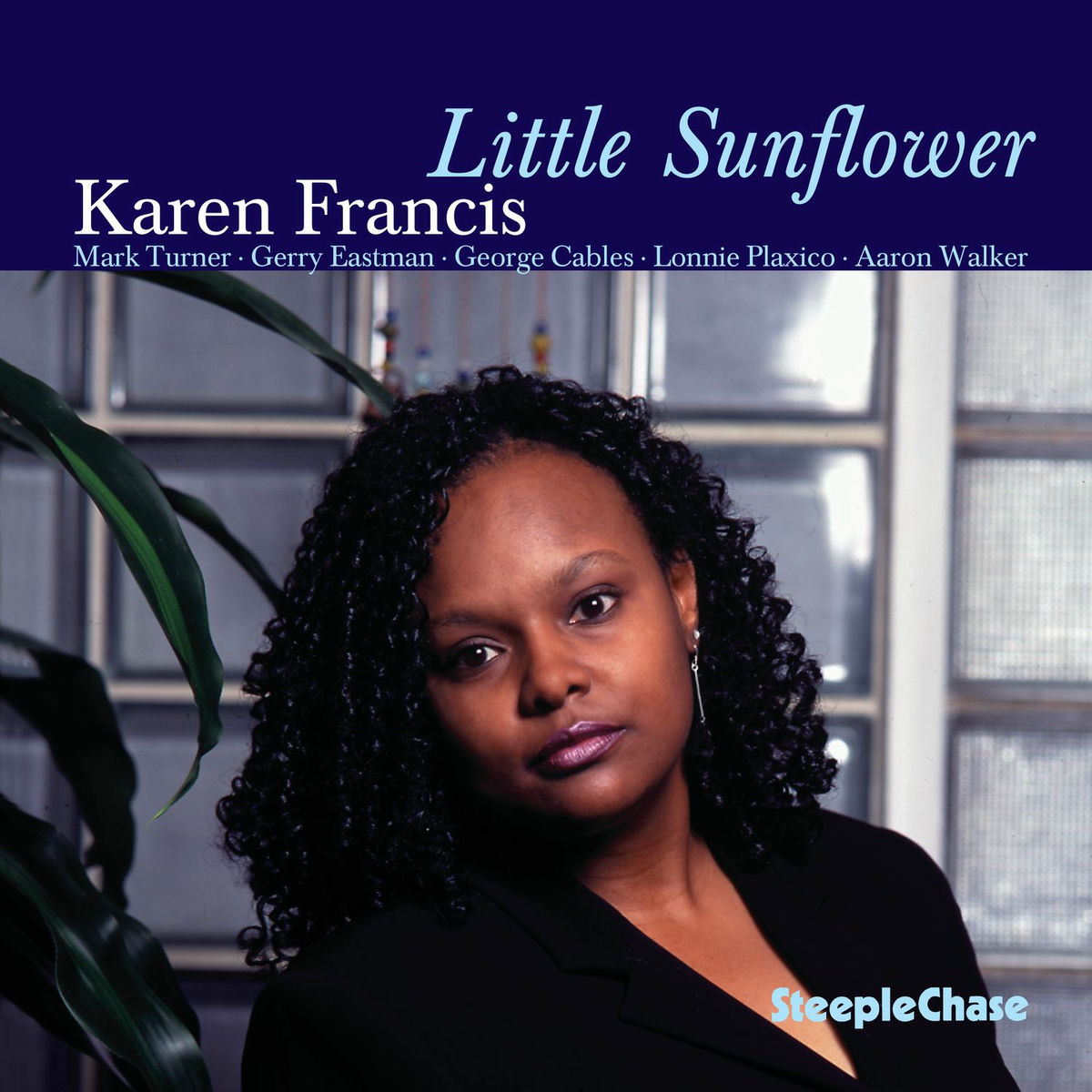 Album cover of Little Sunflower