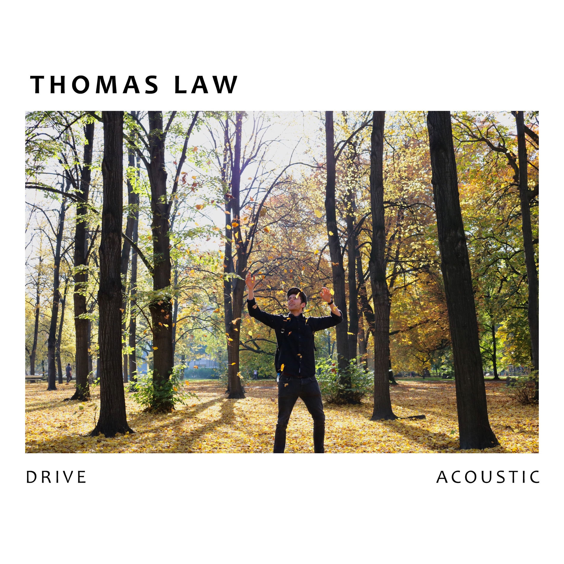 Album cover of Drive