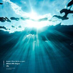 Cover of Where We Began