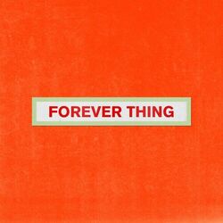 Cover of Forever Thing