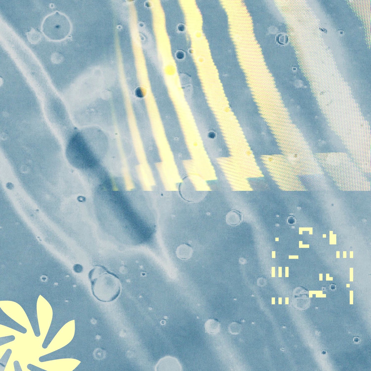 Album cover of Happiness In The Singularity
